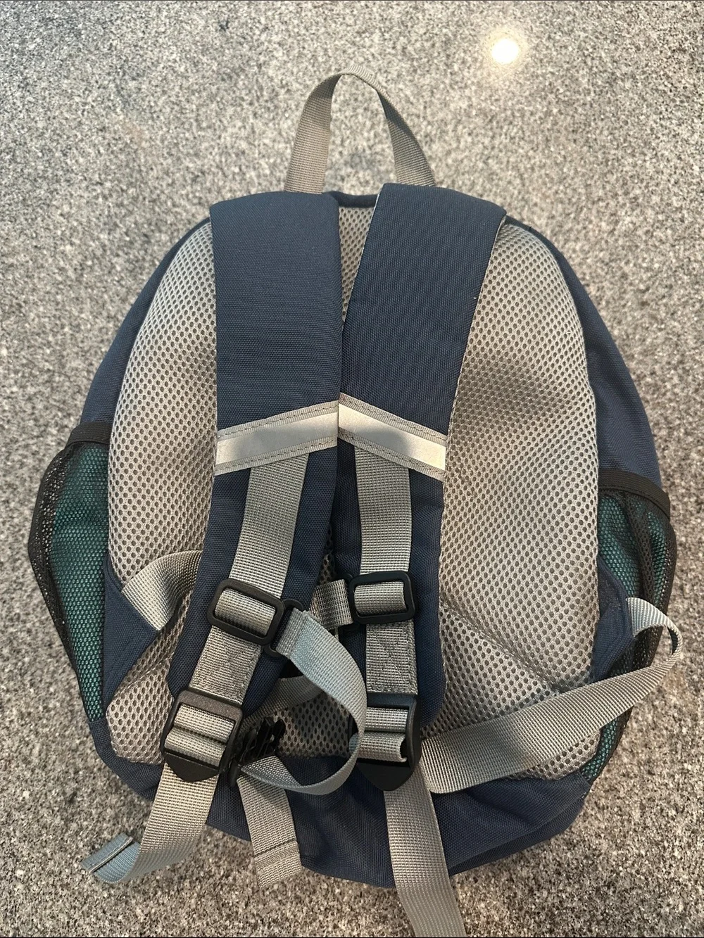 Steamed Bun compact navy